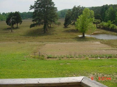 Mr. Wooden's backyard and garden after the flooding.