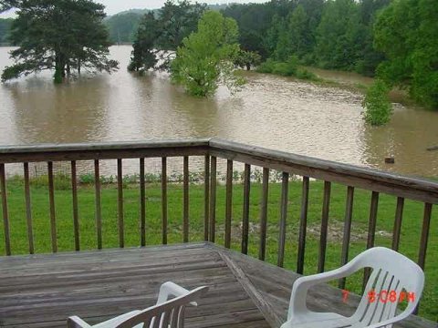View of the backyard and garden of Hugh Wooden along Davidson Road in Chattanooga.