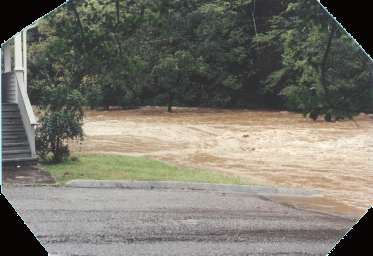 View near city hall along Little Webb Creek.