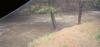 View of the creek back in its banks.