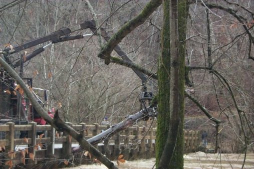 View of log jam being removed from Riverside Bridge on the Powell River in Claiborne County.