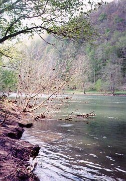 View downstream