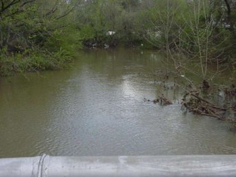 Image of Spring Creek crested and starting to fall