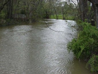 Image of Spring Creek crested and starting to fall