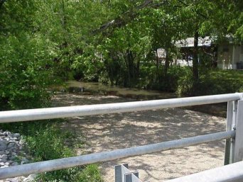 View of Spring Creek in East Ridge, TN in normal flow