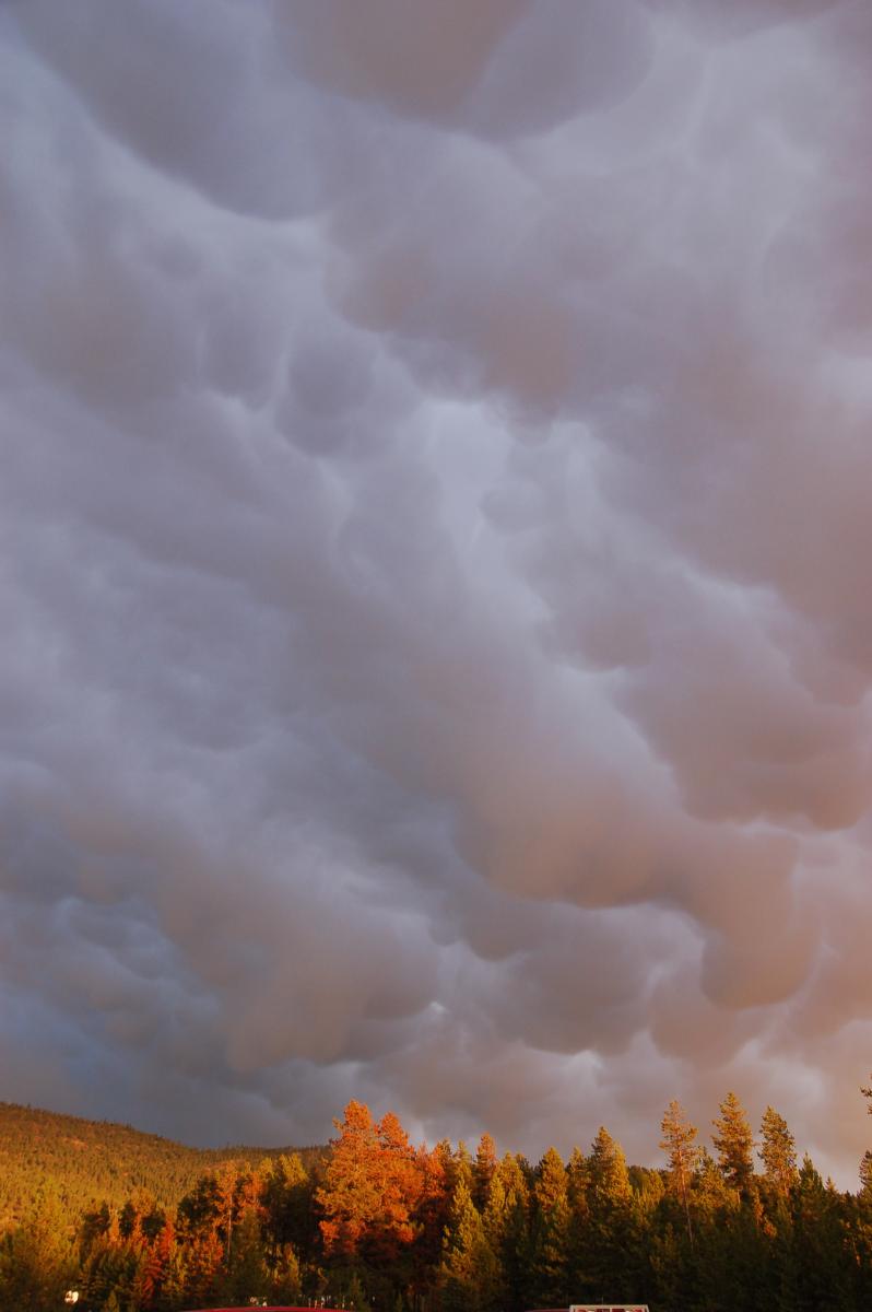Mammatus