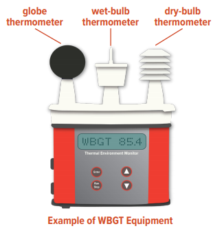 Weather Thermometers: How Do They Work and Why You Need One - Maximum  Weather Instruments