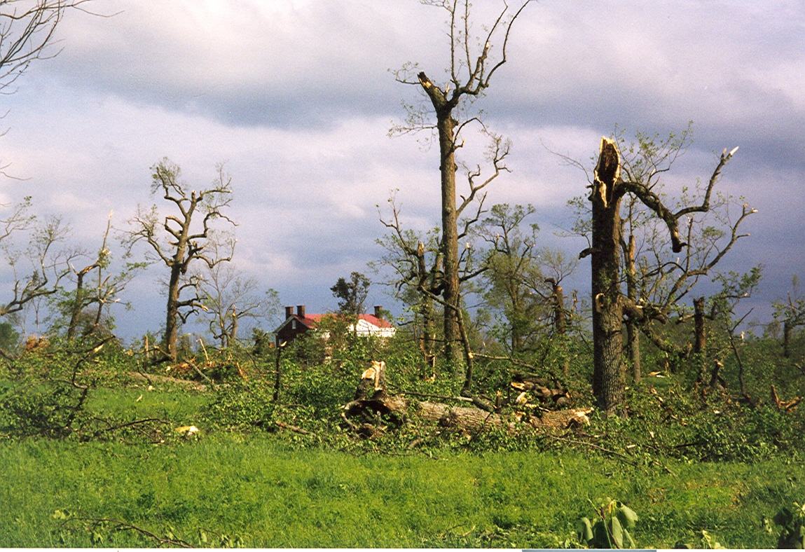 Hermitage damage