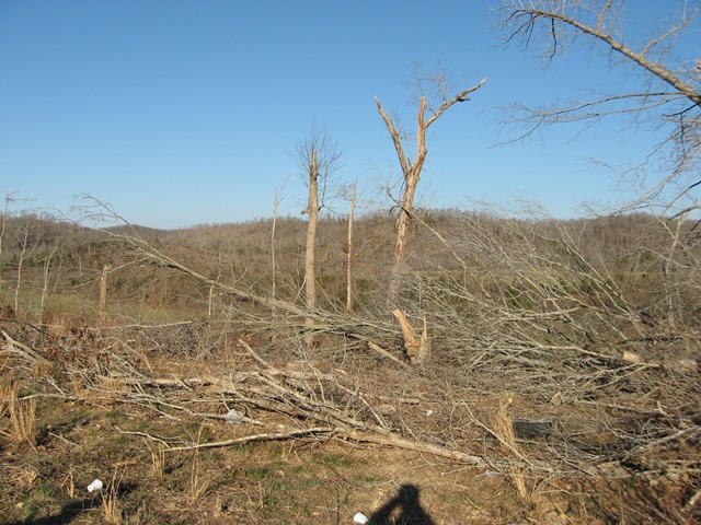 lewis County Tornado