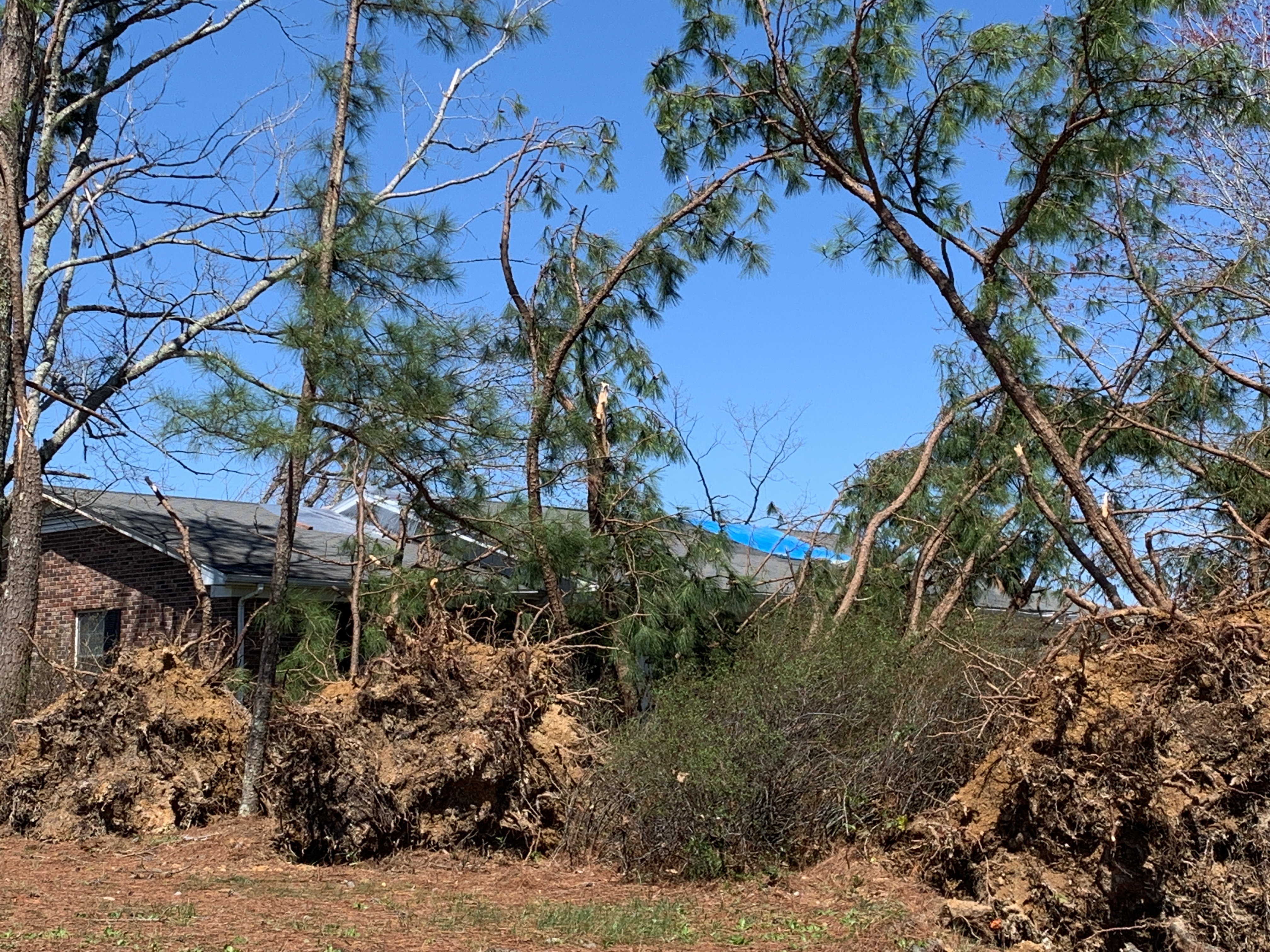 Waynesboro damage