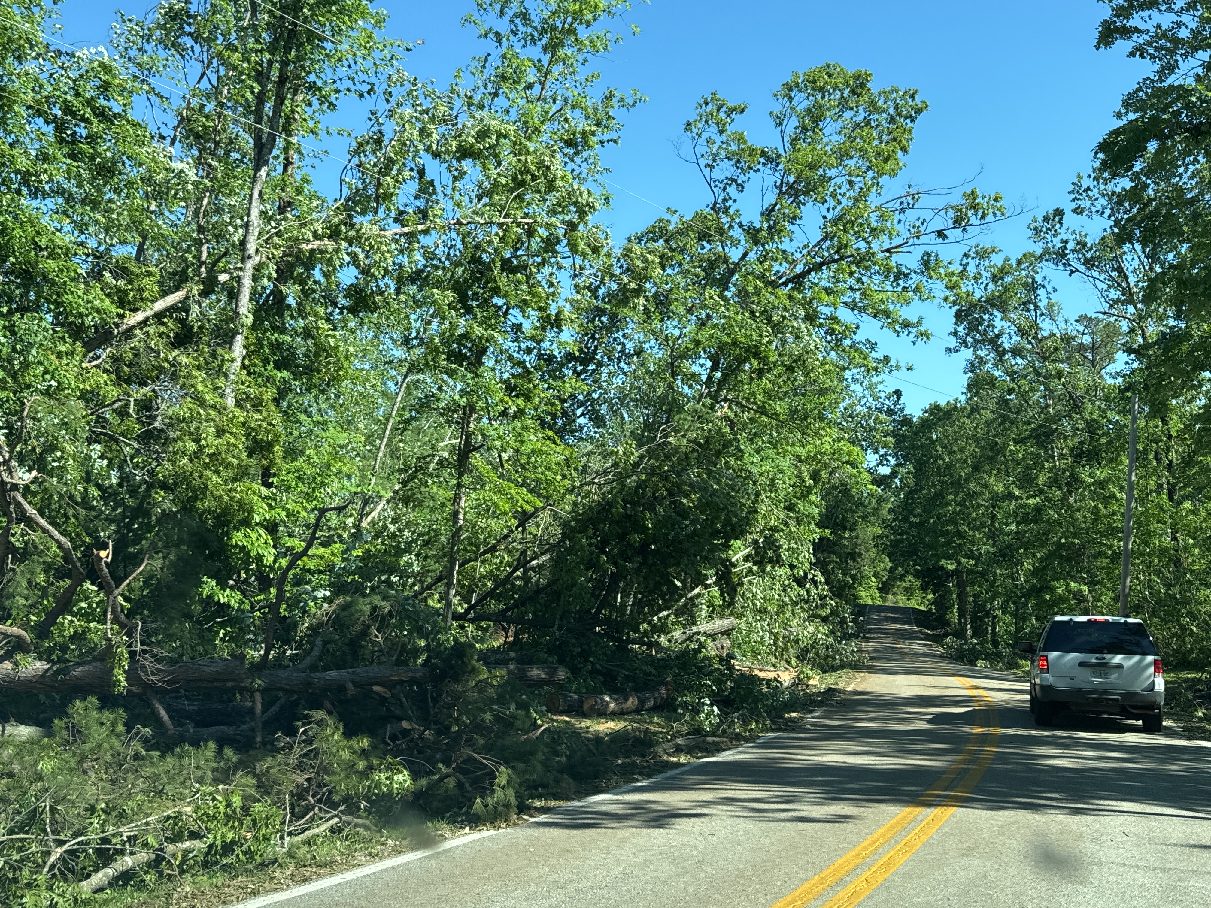 Pickett State Park wind damage