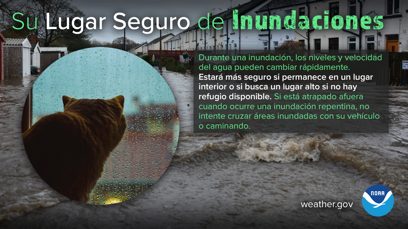 Su Lugar Seguro de Inundaciones: Durante una inundación, los niveles y velocidad del agua pueden cambiar rápidamente. Estará más seguro si permanece en un lugar interior o si busca un lugar alto si no hay refugio disponible. Si está atrapado afuera cuando ocurre una inundación repentina, no intente cruzar áreas inundadas con su vehículo o caminando.