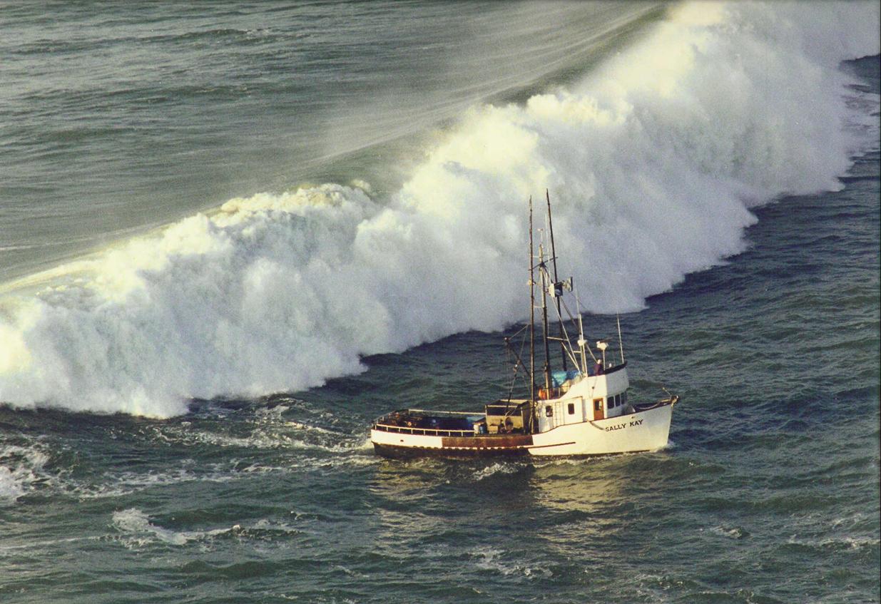 Marine & Surf Zone Image