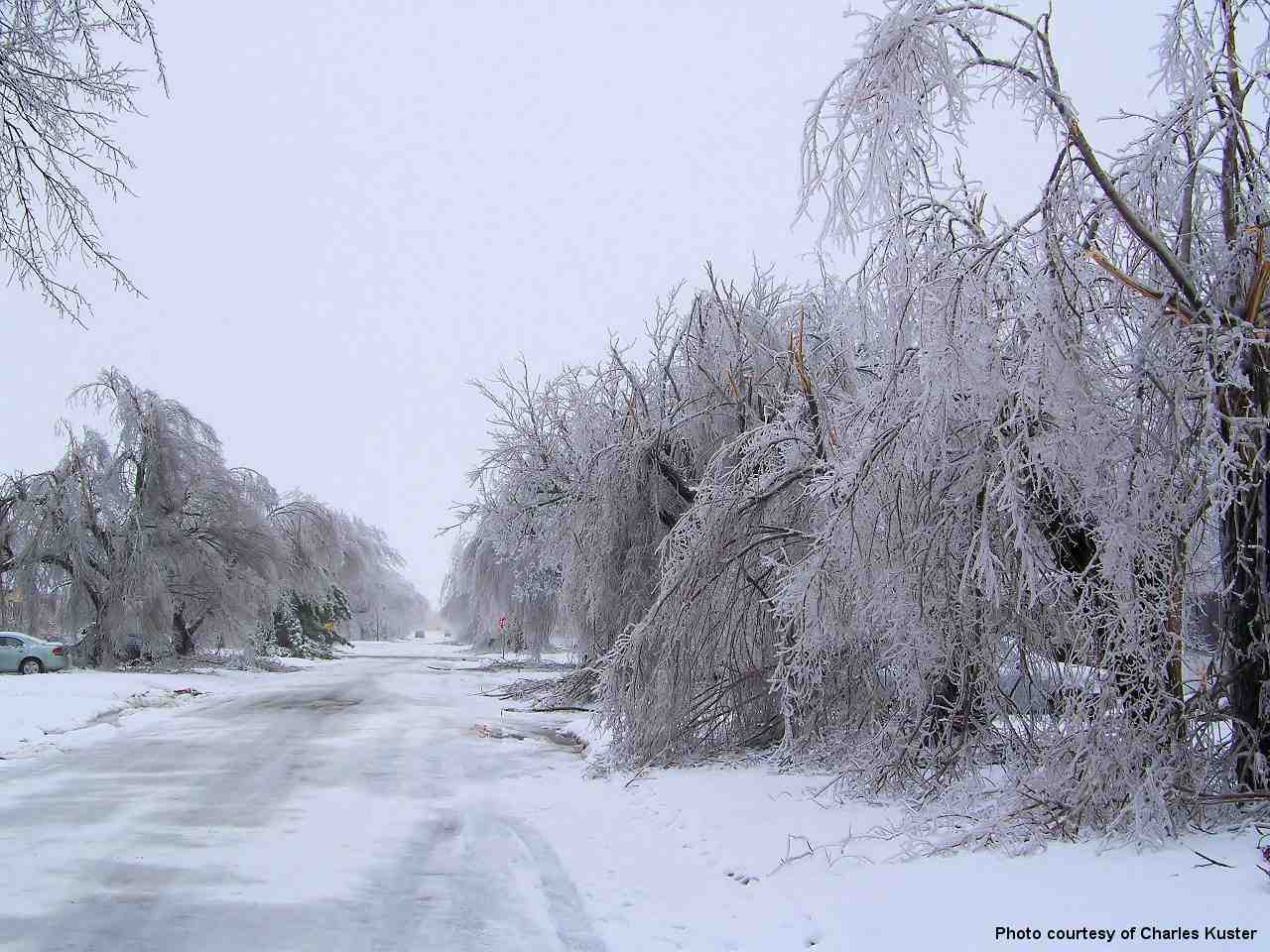 Winter Weather Photo