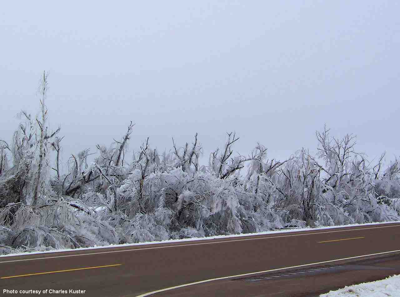 Winter Weather Photo