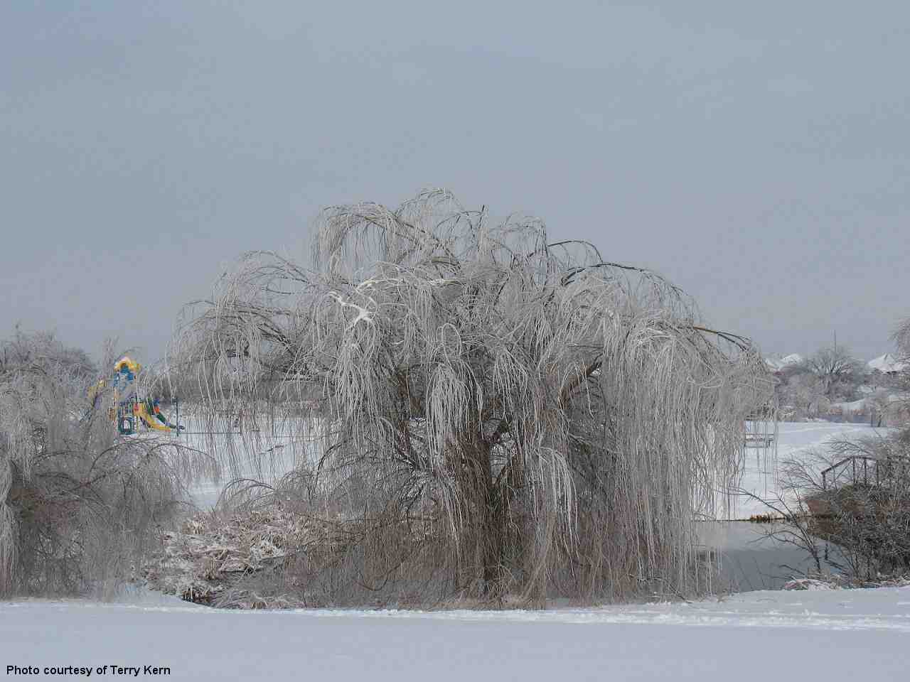 Winter Weather Photo