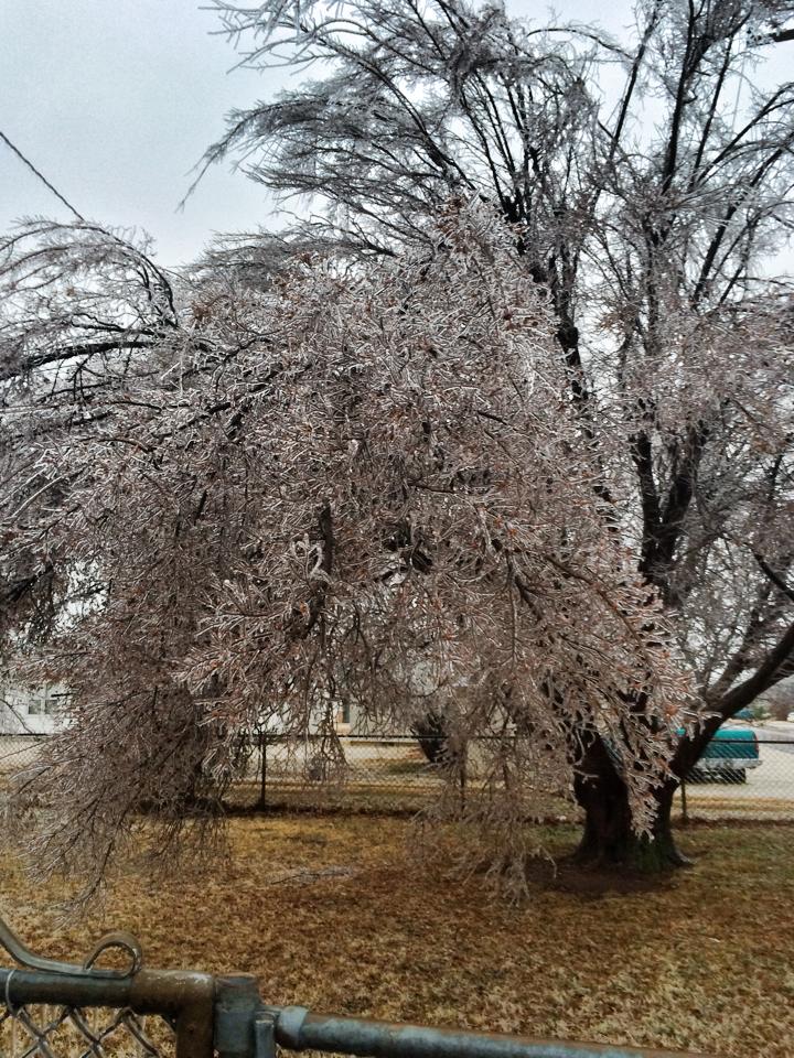 Ice Accumulation Photo for the December 20-22, 2013 Winter Storm