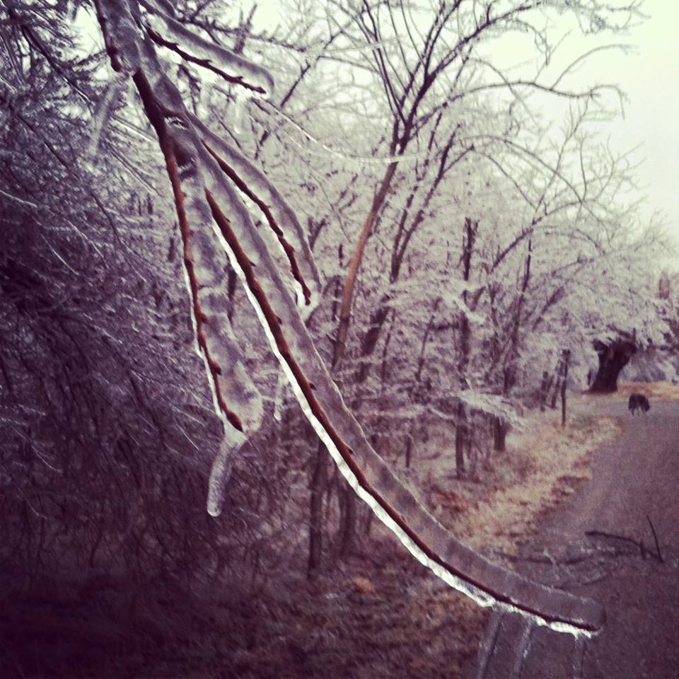 Ice Accumulation Photo for the December 20-22, 2013 Winter Storm