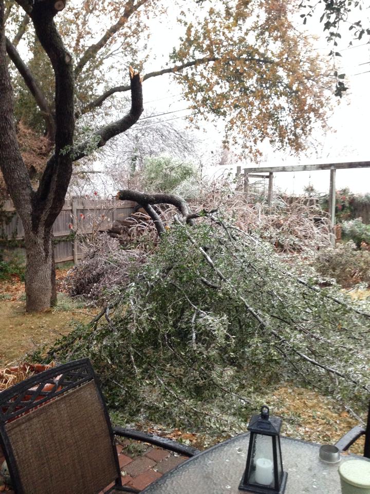 Ice Accumulation Photo for the December 20-22, 2013 Winter Storm