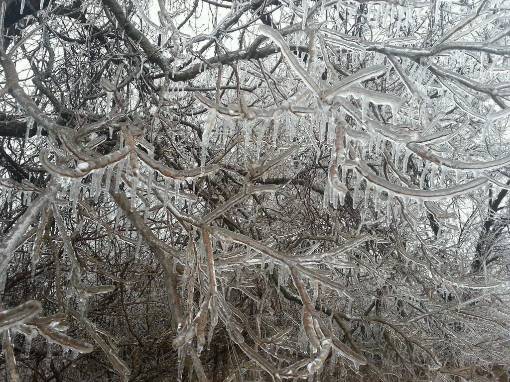 Ice Accumulation Photo for the December 20-22, 2013 Winter Storm