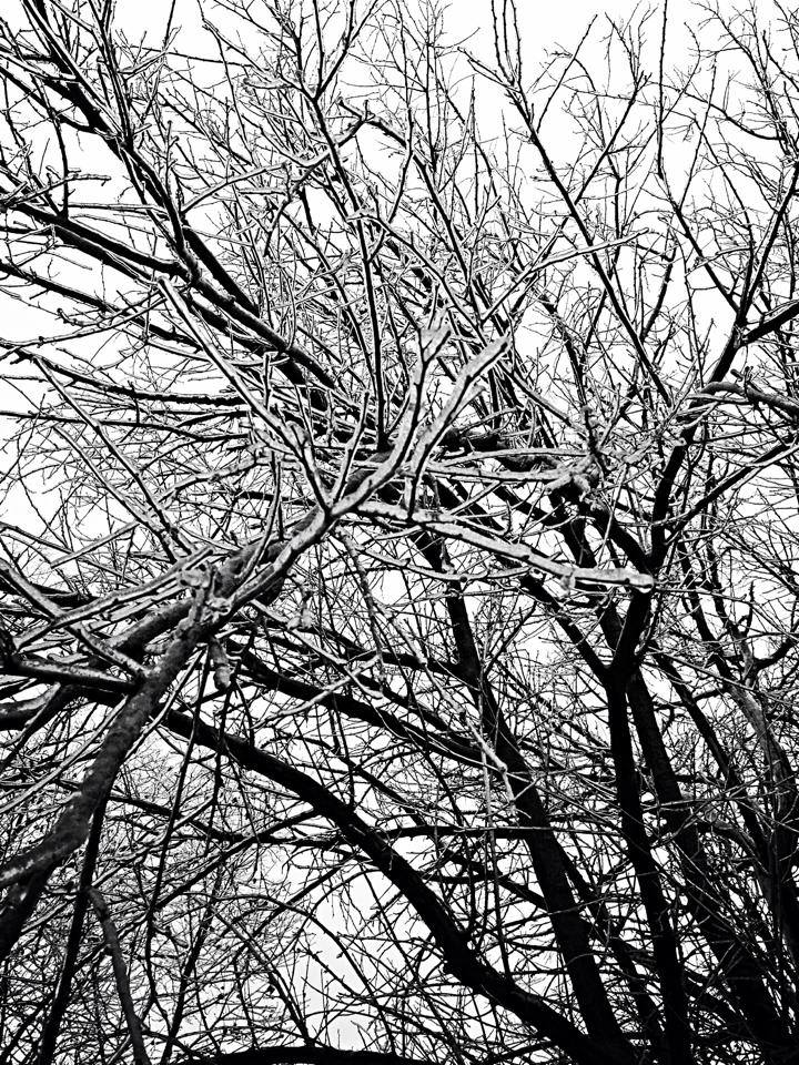 Ice Accumulation Photo for the December 20-22, 2013 Winter Storm