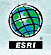 ESRI Logo