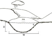Rating Curve
