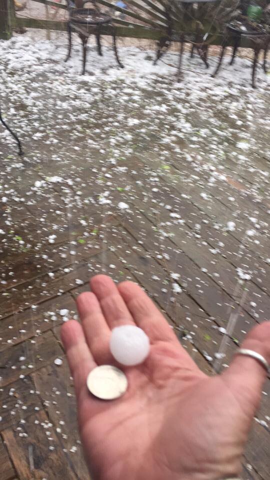 Photo of hail west of Poplar Bluff, MO