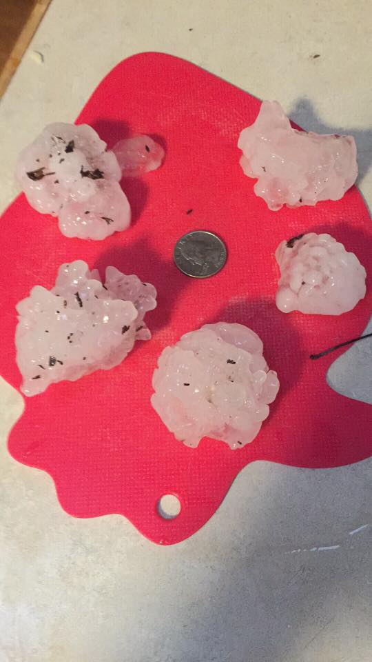 Photo of large hail near Poplar Bluff