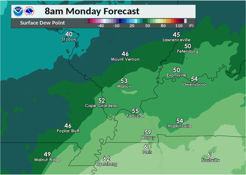 Surface dew points (observed)