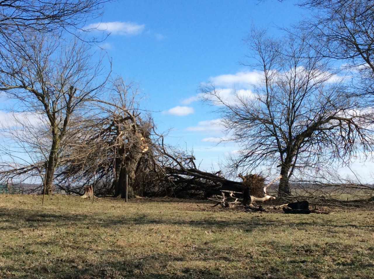 Tornado damage near Robards