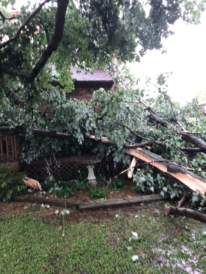 Damage Photo