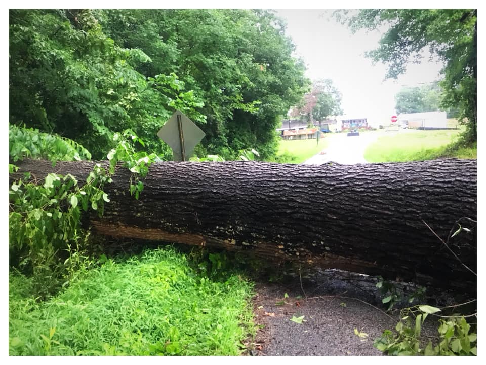 Damage Photo