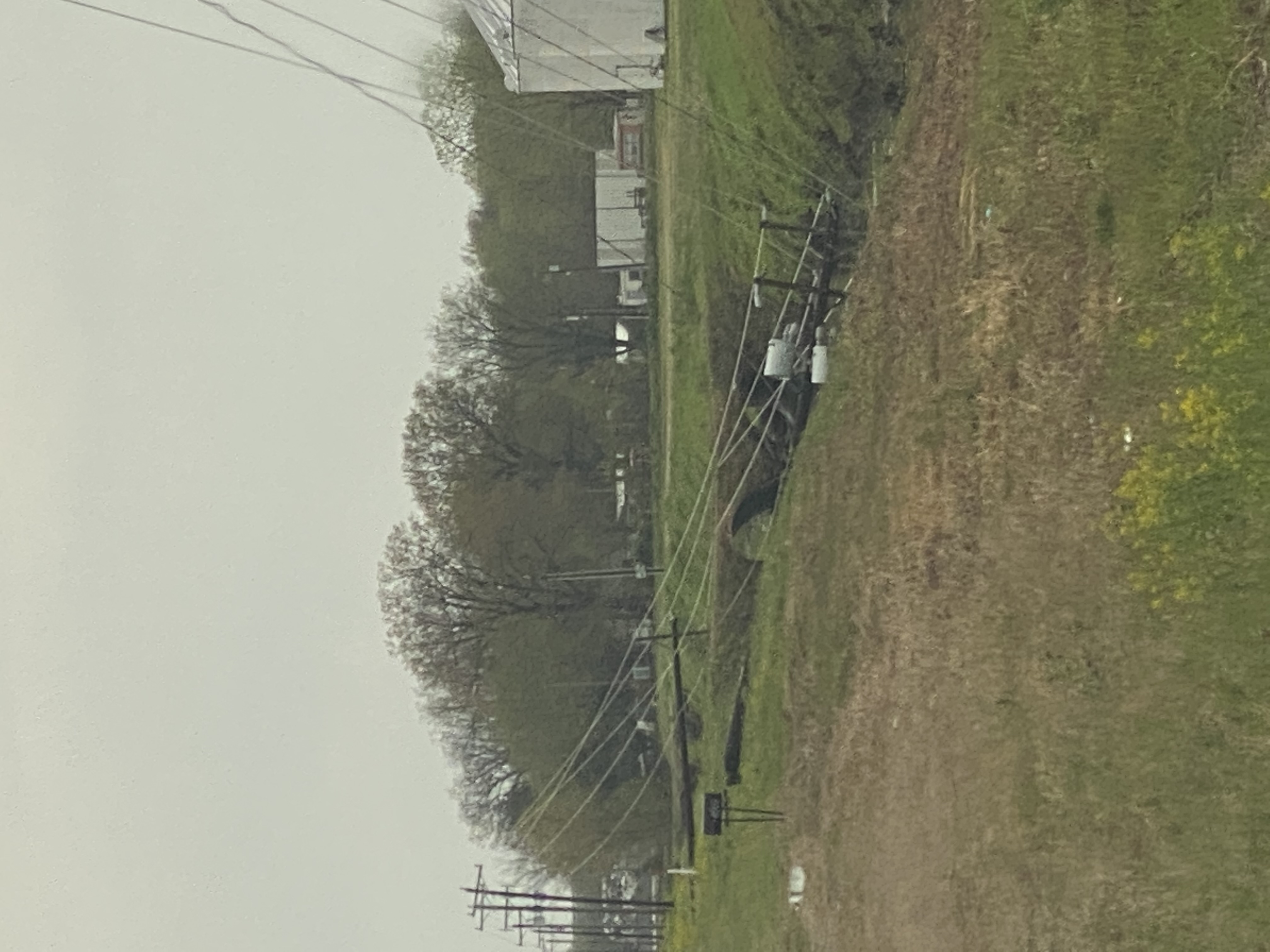 Poplar Bluff wires down