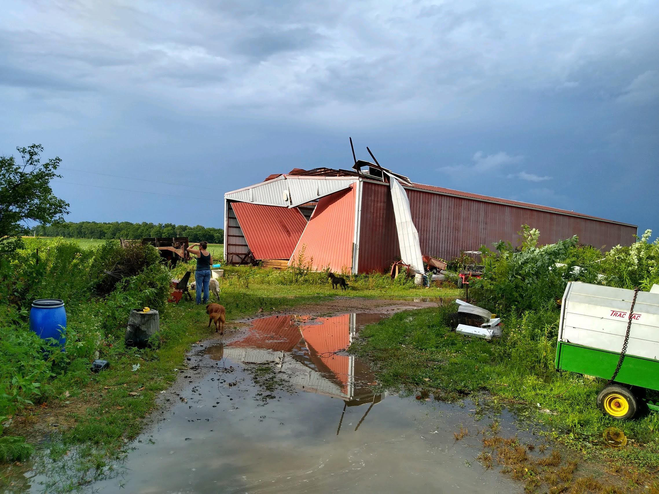 Shed damage