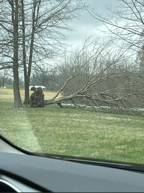 Vienna, Illinois, via NWS Survey