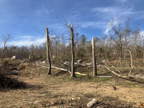 Damage Photo