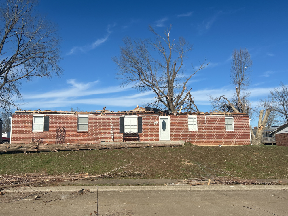 Damage Photo