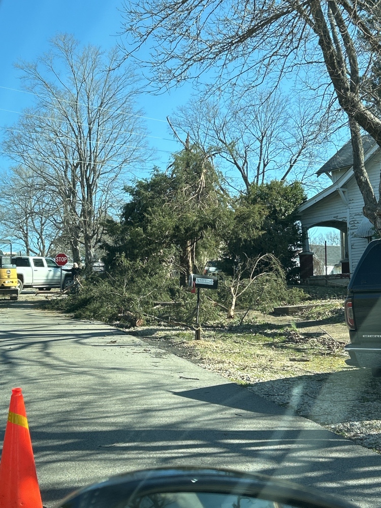 Damage Photo