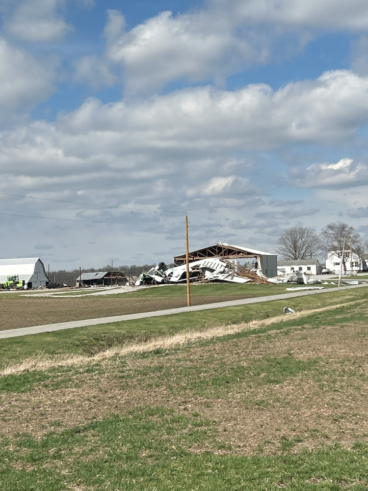 Damage Photo