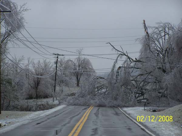 Trees down across roads in Livingston County, KY
