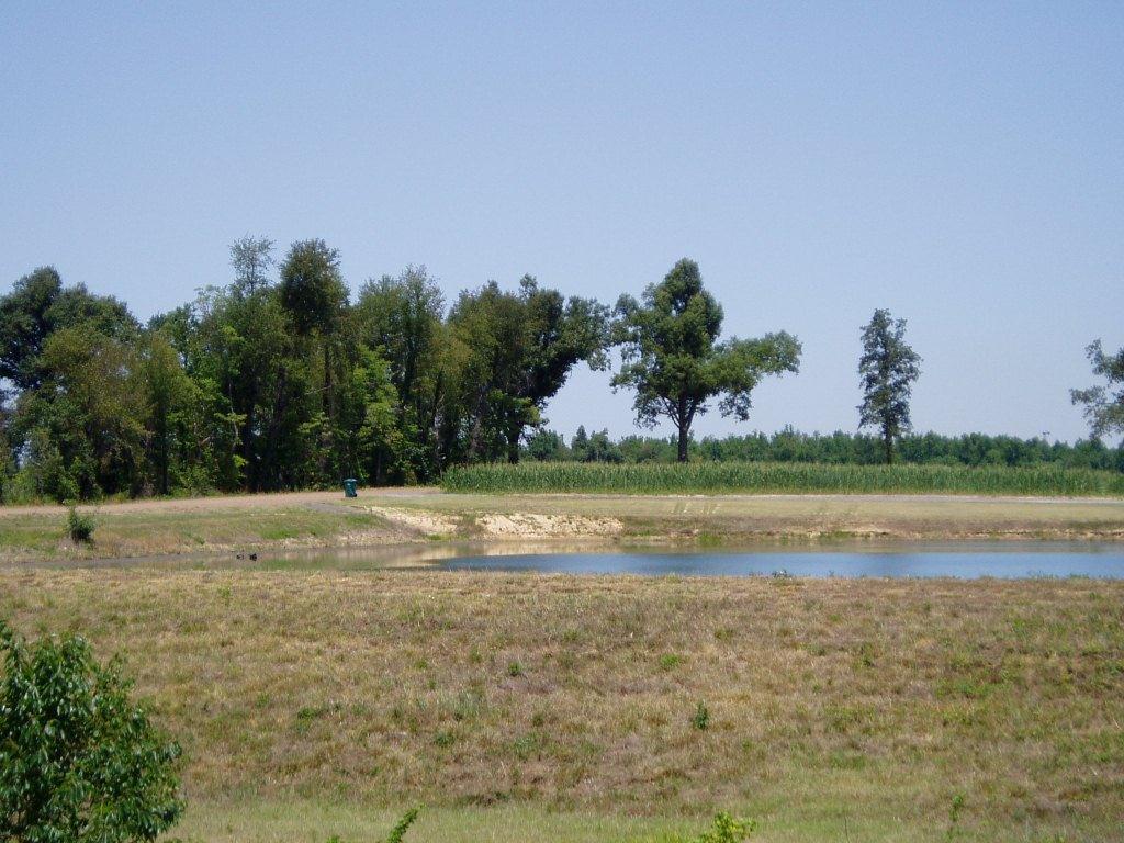 Pond on Highway 62 near Paducah on June 27