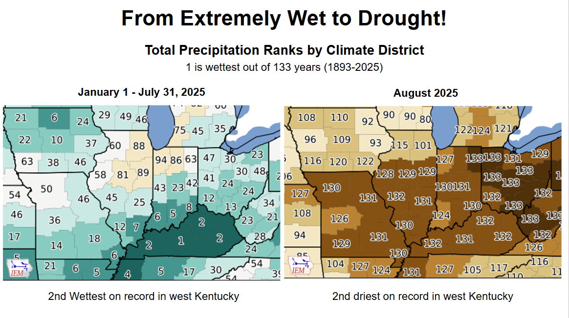 Map of monthly precipitation totals