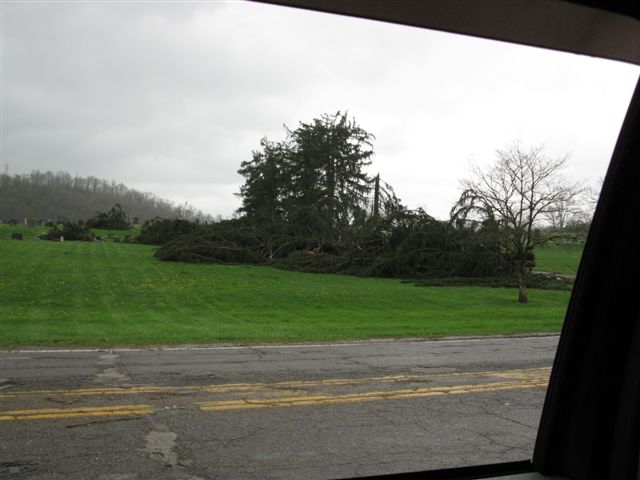 wind damage