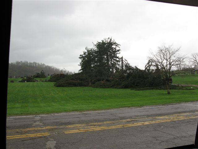 wind damage