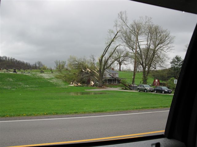 wind damage