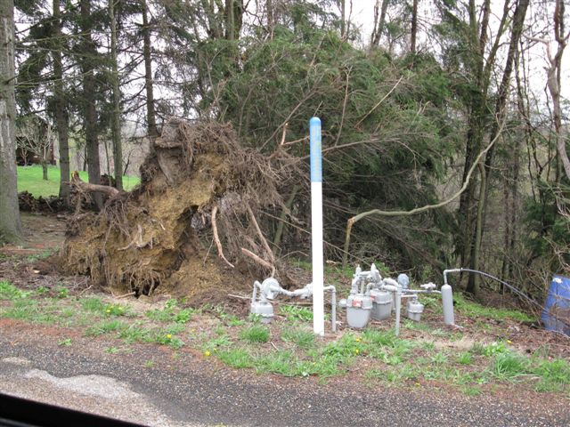 wind damage