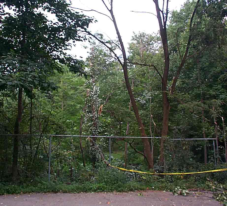 Tornado Damage 1