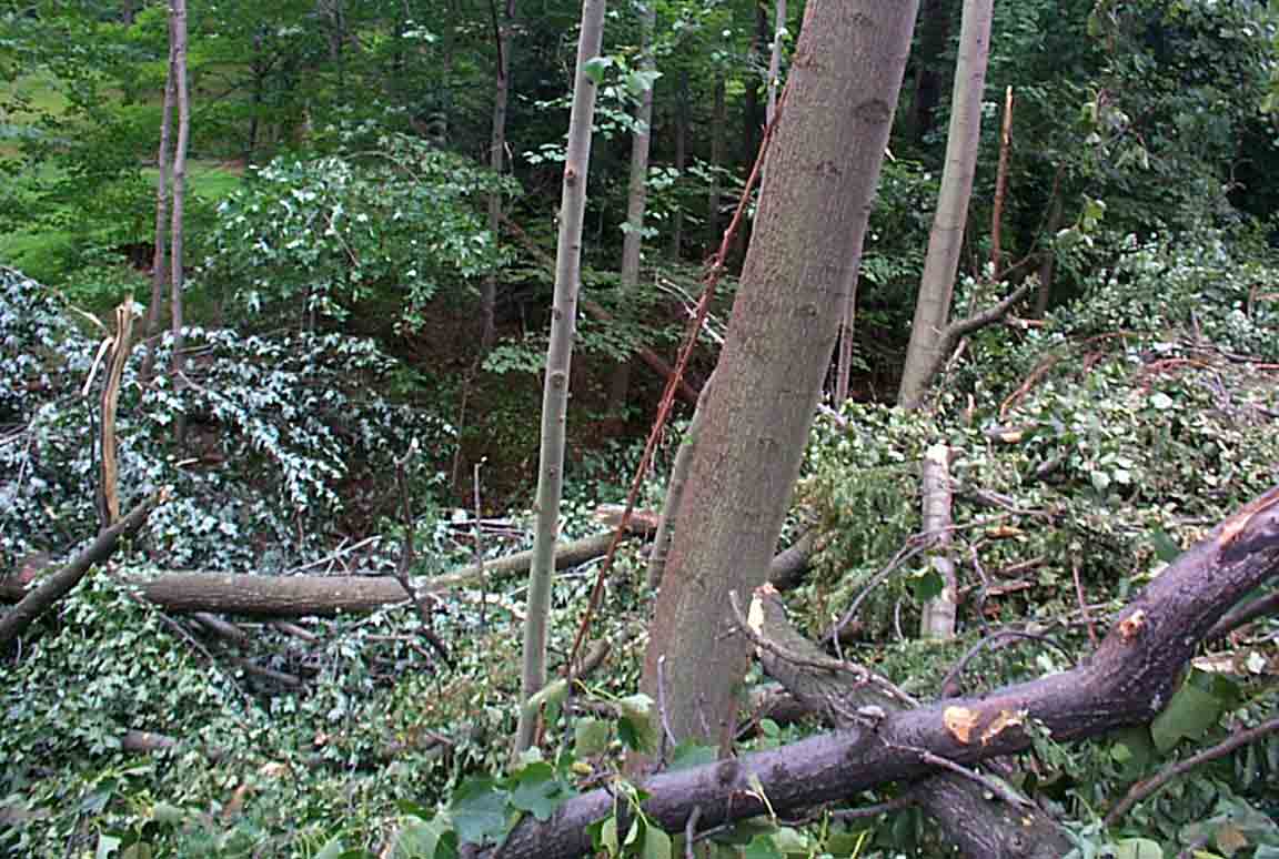 Tornado Damage 3