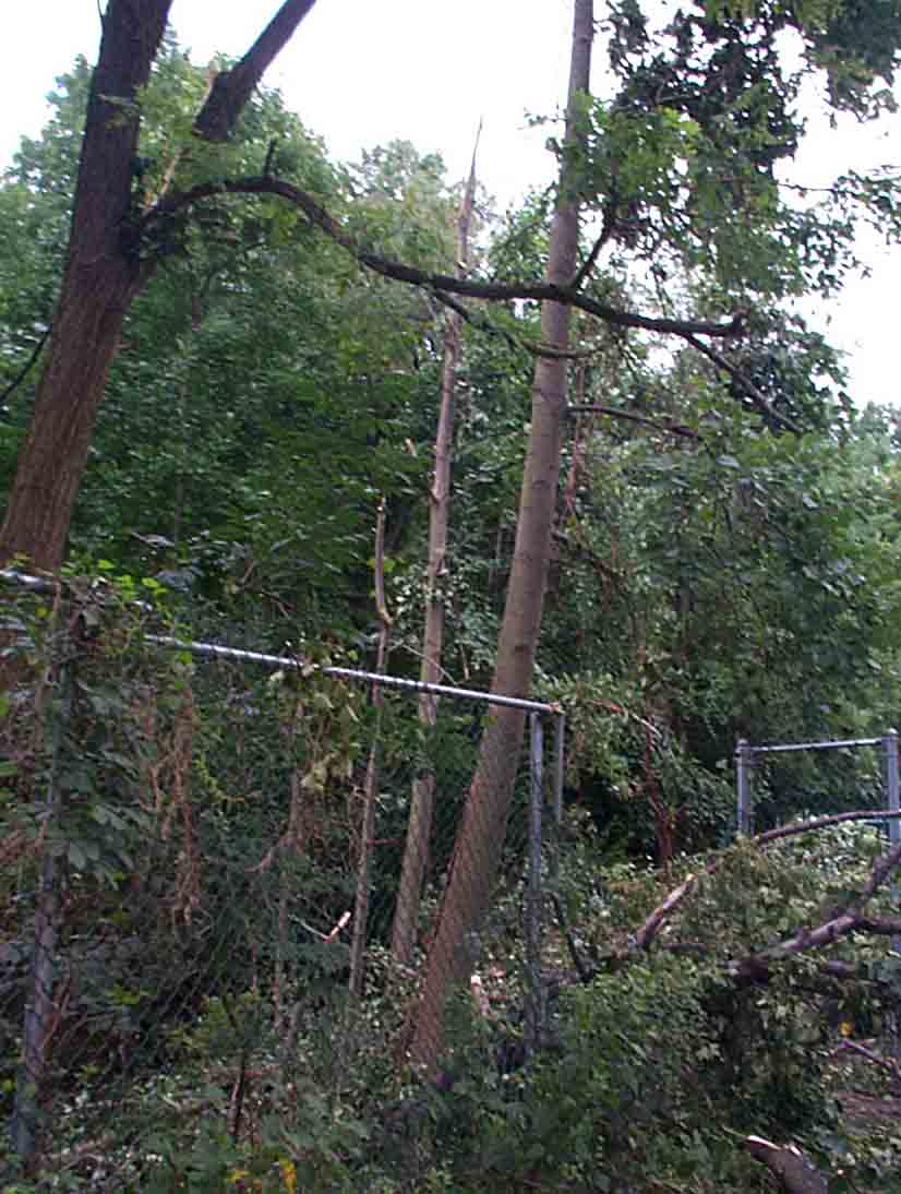 Tornado Damage 4